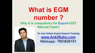 How to Check EGM number for Export IGST Refund Claim [upl. by Eicnan902]