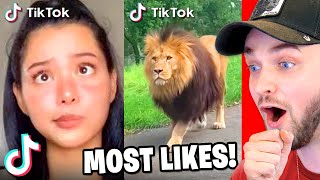 TOP 50 Most Liked TikToks of All Time 2021 [upl. by Quenby]