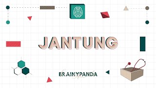 Sistem Kardiovaskular Jantung  Ilmu Biomedik Dasar  Brainy Panda [upl. by Relyuhcs]