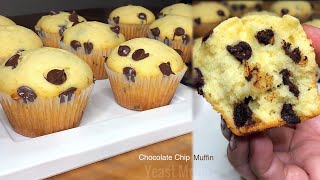 CHOCOLATE CHIP MUFFIN  Easy amp Basic Yummy Muffin Recipe [upl. by Karp339]