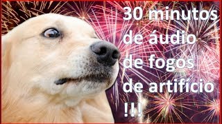 Como dessensibilizar o cachorro com medo de fogos de artifício [upl. by Bozuwa]