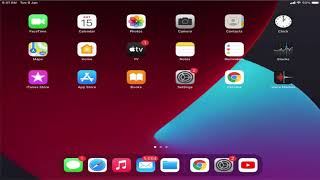 How To Change The Wallpaper On iPad [upl. by Atibat]