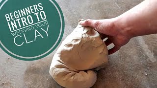 Beginners Intro to Wedging your Clay [upl. by Soisanahta]