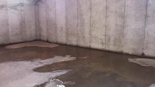 Everdry Waterproofing fixes wet moldy amp humid basements [upl. by Neelhtak]