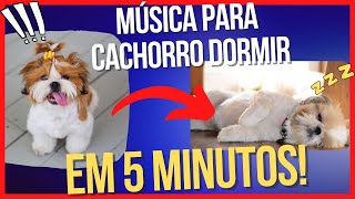 Música Para Acalmar Cachorro 🐶💤 12h de Musica [upl. by Hastings]