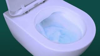 What are Rimless Toilets [upl. by Stuckey]