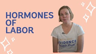 Hormones of Labor and Birth EBB Crash Course [upl. by Nilhsa832]