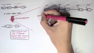 Immunology  Antibody Somatic VDJ Recombination II [upl. by Eyahsal809]