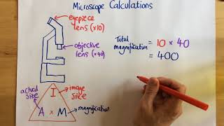 Microscope Calculations  p14 [upl. by Yrallam]