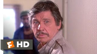 Death Wish II 1982  Home Invasion Scene 312  Movieclips [upl. by Kcirej67]