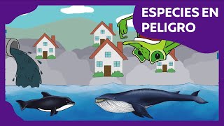 Especies en peligro  Planeta Darwin  Ciencias naturales [upl. by Westleigh421]