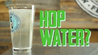 How To Make Hop Water  like LaCroix Soda Water but Flavored with Hops [upl. by Mendy]