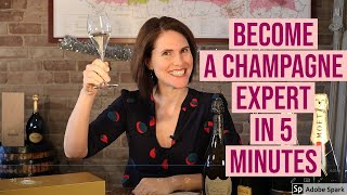 Understanding Champagne in 5 minutes or less [upl. by Temple]