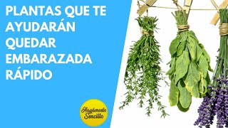 9 PLANTAS PARA LA FERTILIDAD  POSITIVO RÁPIDO [upl. by Ennaed]