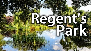 Regents Park  London [upl. by Llerod]