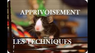 COMMENT APPRIVOISER SES SOURIS [upl. by Fausta]