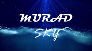 MuraD  Sky No Copyright Music [upl. by Winni]