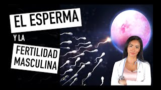 7 MANERAS DE AUMENTAR LA FERTILIDAD MASCULINA NATURALMENTE [upl. by Adalheid]