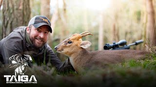 Muntjac amp Chinese Water Deer Combo hunt in England [upl. by Adnylam]