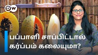 Papaya in Pregnancy  கர்ப்பமாக இருக்கும்போது என்ன சாப்பிடலாம் என்ன சாப்பிடக்கூடாது  DW Tamil [upl. by Naga848]