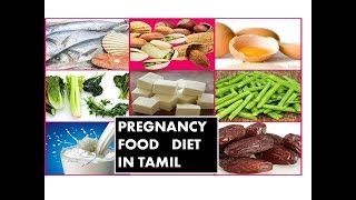 PREGNANCY FOOD DIET ADVICE TIPS IN TAMIL [upl. by Jerusalem]