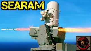 Raytheon RIM116 Rolling Airframe Missile SeaRAM  MODERN NAVAL DEFENSE [upl. by Drawe415]