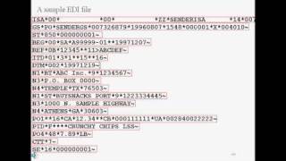 Basics of EDI [upl. by Einaffit]