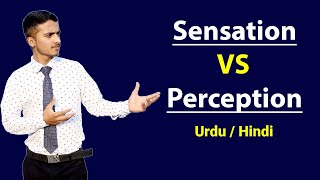 Difference Between Sensation amp Perception  Urdu  Hindi [upl. by Eseret]