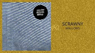 Wallows  Scrawny INSTRUMETAL KARAOKE [upl. by Olgnaed955]