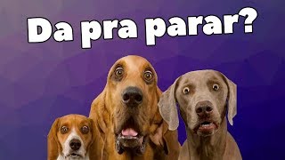 5 SONS PAVOROSOS PARA OS CACHORROS [upl. by Templer]