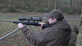 The Shooting Show  Irish stalkers first ever muntjac [upl. by Aeret]