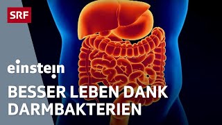 Mikrobiom – wie die Bakterien im Darm über unsere Gesundheit entscheiden  Einstein  SRF Wissen [upl. by Sharity]