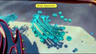 Practicallys Concepts  Golgi Apparatus  LearnPractically [upl. by Dari565]