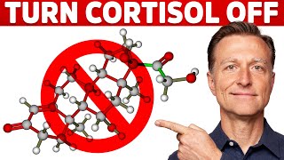 Why Its Hard To Turn Stress Cortisol Off – Dr Berg [upl. by Domash]