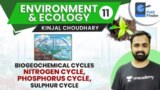 L11 Biogeochemical Nitrogen Phosphorous amp Sulphur Cycle  UPSC CSEIAS 2021  Kinjal Choudhary [upl. by Anilegna]