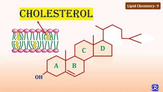 9 Cholesterol Structure amp Functions  Lipid Chemistry9  Biochemistry  NJOY Biochemistry [upl. by Pratt]