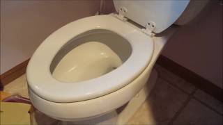 DIY 101 How To Remove amp Replace a Toilet Seat [upl. by Terej367]