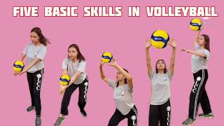 Five Basic Skills in Volleyball [upl. by Mccord]