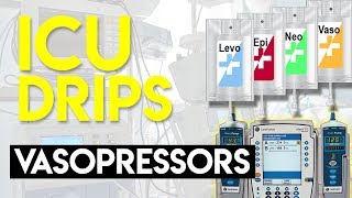 Vasopressors Part 1  ICU Drips [upl. by Ahsas]