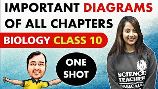 Important DIAGRAMS of All Chapters of Biology in 1 Shot  Class 10  NCERT  Udaan [upl. by Yelrahc]