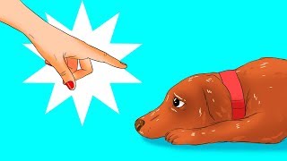 12 Coisas Perigosas Que Você Faz Com o Seu Cachorro Sem Nem Se Dar Conta [upl. by Baler]