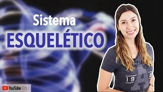 Sistema Esquelético 15 Introdução  Anatomia e etc [upl. by Luelle4]