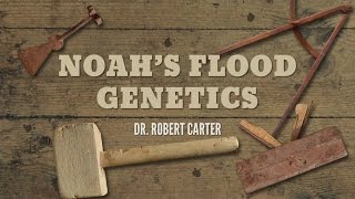 Origins Noah’s Flood Genetics [upl. by Nnylrac486]