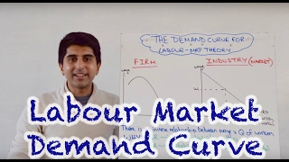 Labour Demand Curve Market and Firm [upl. by Odnalor]