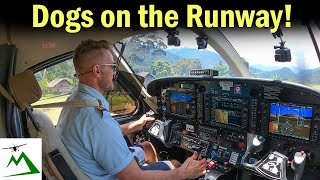 HOW I BECAME A BUSH PILOT in Papua New Guinea [upl. by Yaron444]