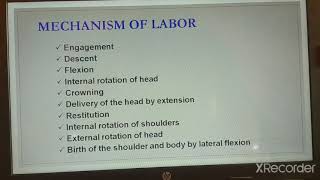 Mechanism of Normal labour [upl. by Yme]