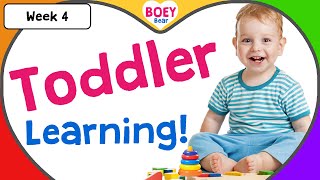 Educational Videos for Toddlers  2 year old 3 year old 4 year old Learning Videos with Boey Bear [upl. by Iruj]