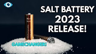 No More Lithium NEW SodiumIon Battery To BEGIN Mass Production [upl. by Nered]