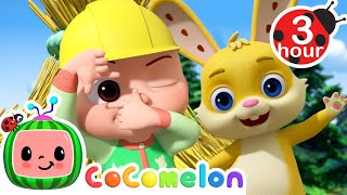 The 3 Little Friends  Cocomelon  Nursery Rhymes  Fun Cartoons For Kids  Moonbug Kids [upl. by Desirea]