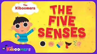 Five Senses  The Kiboomers Kids Learning Songs For Circle Time  Body Parts Song [upl. by Aehc]